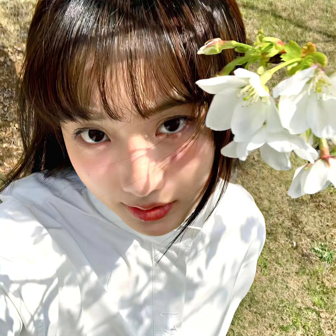 圣诞节回家